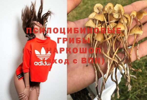 синтетический гашиш Елизово