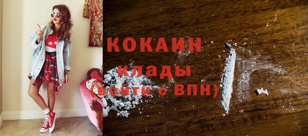ПСИЛОЦИБИНОВЫЕ ГРИБЫ Ельня