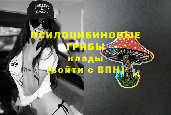 ПСИЛОЦИБИНОВЫЕ ГРИБЫ Ельня