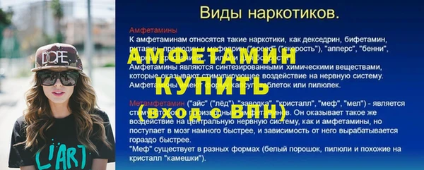 ПСИЛОЦИБИНОВЫЕ ГРИБЫ Ельня