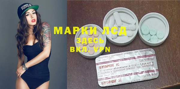 ПСИЛОЦИБИНОВЫЕ ГРИБЫ Ельня