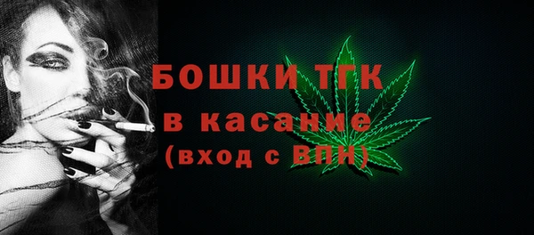 ПСИЛОЦИБИНОВЫЕ ГРИБЫ Ельня