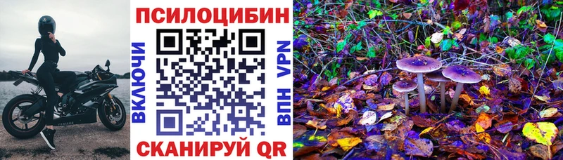 кракен   купить наркоту  Кадников  Галлюциногенные грибы прущие грибы 